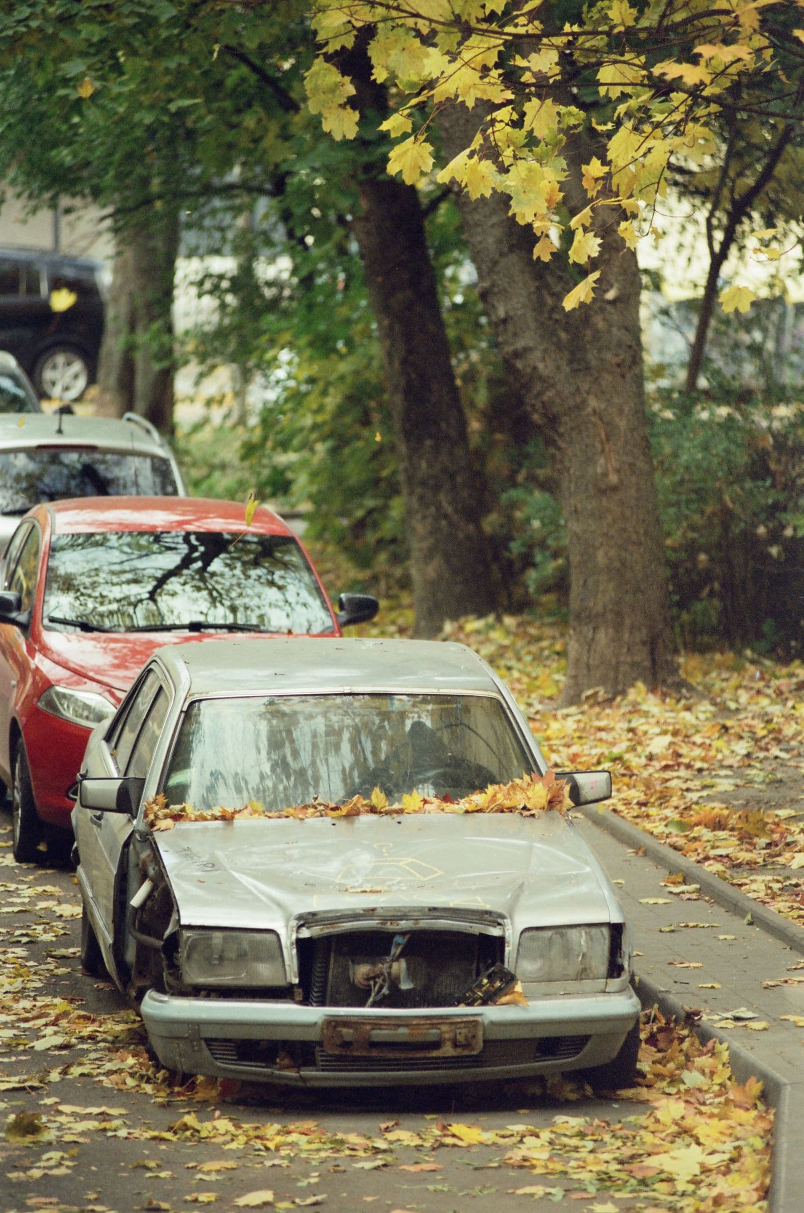 An old non-running car left parked and covered in fallen leaves